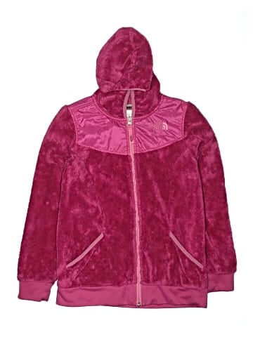 The North Face Zip Up Hoodie (view 1)