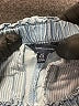 Tommy Hilfiger 100% Lyocell Blue Denim Shorts Size 6 - 7 - photo 3