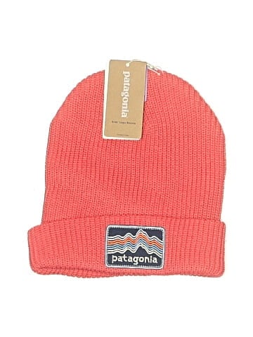 Patagonia Beanie (view 1)