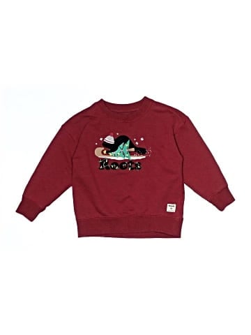 Roots Pullover Sweater (view 1)