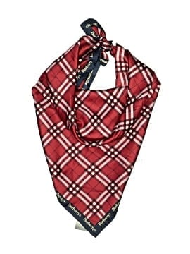 Burberry Scarf (view 1)