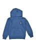 Air Jordan Blue Sweatshirt Size 3T - photo 1
