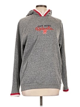 Champion Sweatshirt (view 1)