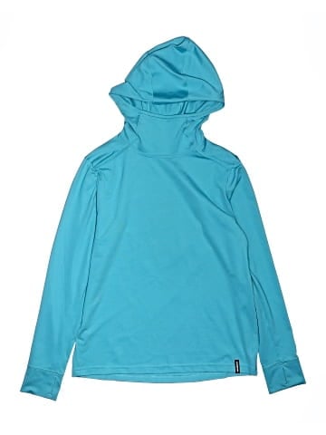 Patagonia Pullover Hoodie (view 1)