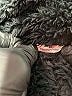 Vineyard Vines 100% Polyester Black Faux Fur Jacket Size L - photo 6