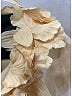Zimmermann Ivory Short Sleeve Blouse Size 4 (0) - photo 7
