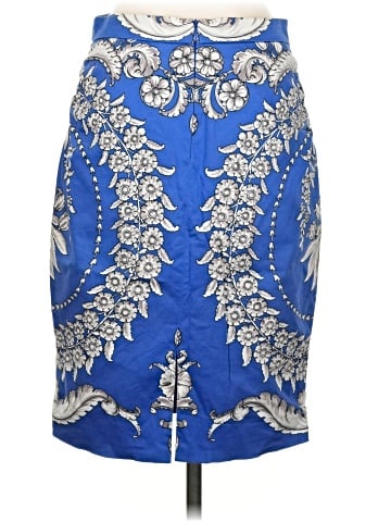 Baraschi Formal Skirt (view 2)
