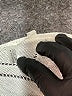 Sofia by Sofia Vergara Chevron-herringbone Ivory Casual Dress Size L - photo 7