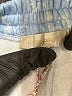 LoveShackFancy Blue Sweatpants Size XXS - photo 7