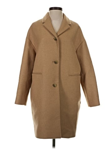 Everlane Wool Coat (view 1)