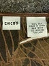 Chico's 100% Silk Green 3/4 Sleeve Silk Top Size XXL (estimated) - photo 7