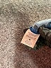 Notations Polka Dots Blue Long Sleeve Blouse Size M - photo 8