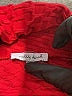 White Birch Red Active Pants Size 2X - photo 4