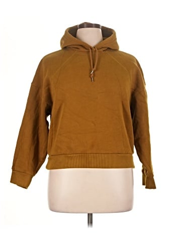 Everlane Pullover Hoodie (view 1)