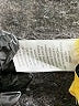 Gymboree Yellow Long Sleeve Top Size 6 - photo 4