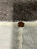 FP One 100% Nylon Ivory Cardigan Size XS - photo 7
