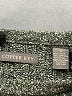 Copper Key Tweed Gray Pullover Sweater Size S - photo 7