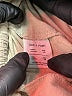 OAK + FORT Solid Tan Casual Pants Size XS - photo 8