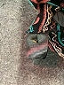 Floreat Paisley Black Casual Dress Size XS - photo 8