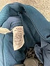 Ann Taylor Solid Blue Active Pants Size 14 - photo 8