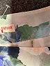 Rebecca Taylor Floral Ivory Shorts Size 2 - photo 4