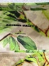 Allison Daley Ivory 3/4 Sleeve Blouse Size L - photo 7