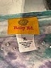 Ruby Rd. Tie-dye Teal Short Sleeve T-Shirt Size XL - photo 7