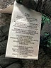 BCBGMAXAZRIA Green Cocktail Dress Size XS (petite) - photo 8