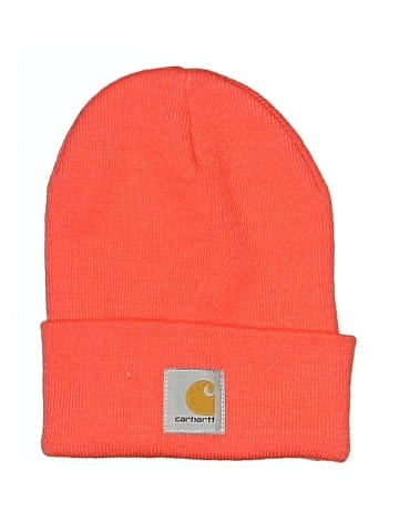 Carhartt Beanie (view 1)