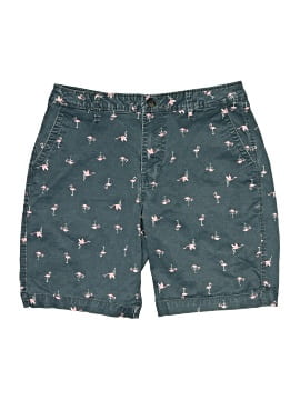 Aeropostale Shorts (view 1)