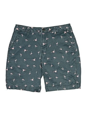 Aeropostale Shorts (view 1)