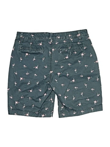 Aeropostale Shorts (view 2)
