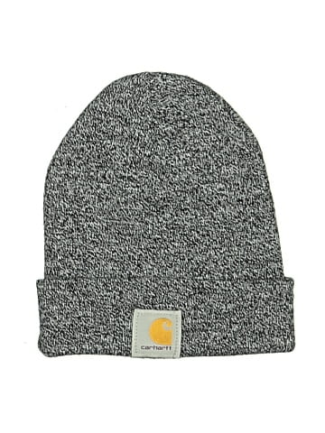Carhartt Beanie (view 1)