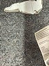 Pilcro Metallic Silver Short Sleeve T-Shirt Size S - photo 8