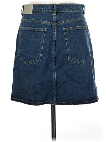Everlane Denim Skirt (view 2)