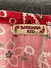 Assorted Brands 100% Cotton Red Kimono Size 8 - photo 3