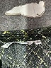 Emily Daniels Tweed Green 3/4 Sleeve Blouse Size L - photo 7