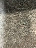 Assorted Brands Black Active Pants Size XL - photo 8