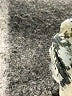 IRO Animal Print Green Long Sleeve Blouse Size EU (FR) 38 / US 6 - photo 8
