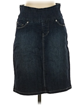 Jag Denim Skirt (view 1)