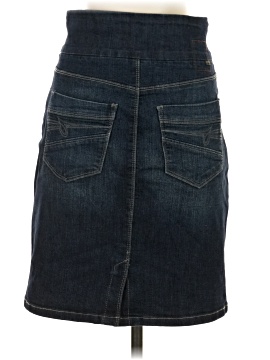 Jag Denim Skirt (view 2)