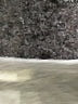Soft Joie Gray Sweatshirt Size L (estimated) - photo 7