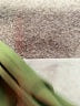 Ann Taylor LOFT Green Cargo Pants Size 8 - photo 7