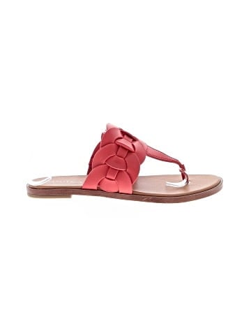 Nautica Flip Flops (view 1)