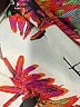 Daniel Rainn Tropical Orange 3/4 Sleeve Blouse Size 3X - photo 8