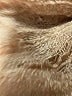 Lulu 100% Acrylic Tan Brown Scarf One size - photo 3