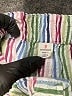 Crewcuts 100% Cotton Stripes Green Shorts Size 10 - photo 3