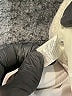 Christopher & Banks Solid Silver Casual Pants Size 14 - photo 8