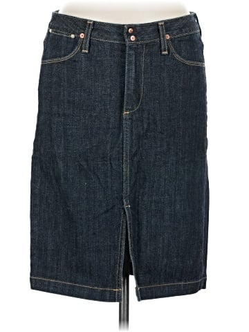 Adriano Goldschmied Denim Skirt (view 1)