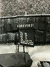 Forever 21 Stars Black Shorts Size 31 waist (estimated) - photo 3